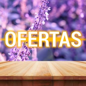 OFERTAS Y LIQUIDACION